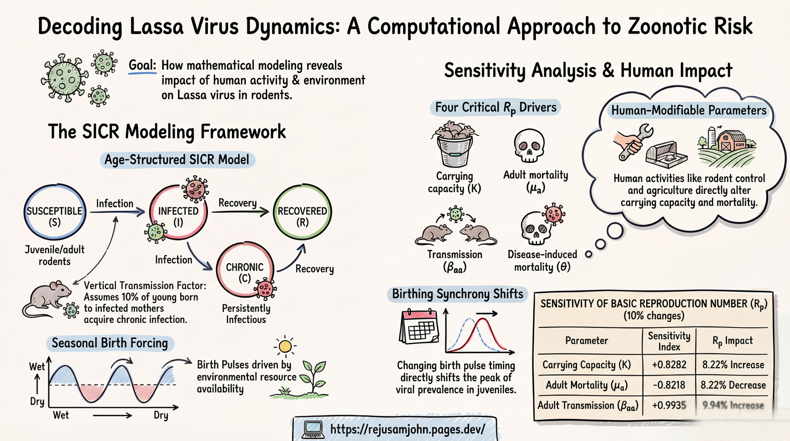 Decoding Lassa Virus Dynamics